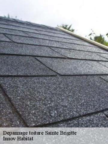 Depannage toiture 56480