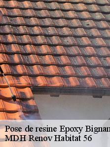 Pose de resine Epoxy  56500