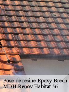 Pose de resine Epoxy  56400