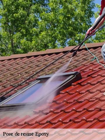 Pose de resine Epoxy 56200