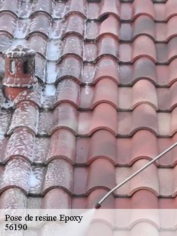 Pose de resine Epoxy 56190