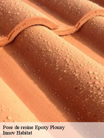 Pose de resine Epoxy 56240