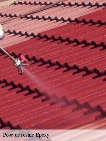 Pose de resine Epoxy 56240