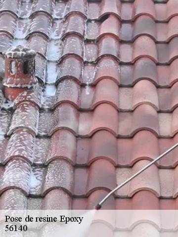 Pose de resine Epoxy 56140