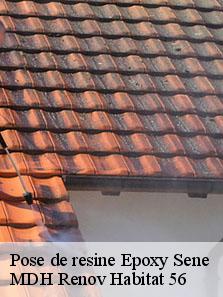 Pose de resine Epoxy  56860